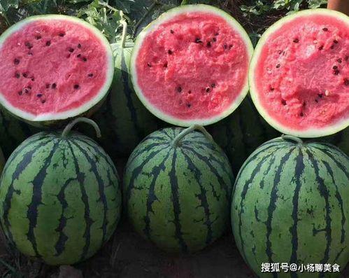 黑料不打料吃瓜入口网页版,网页版带你畅游娱乐圈