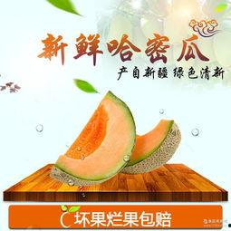 今日新疆哈密瓜价格,甜蜜商机无限