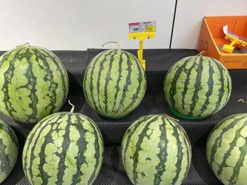 麒麟瓜西瓜行情今日报价,价格波动与市场趋势分析
