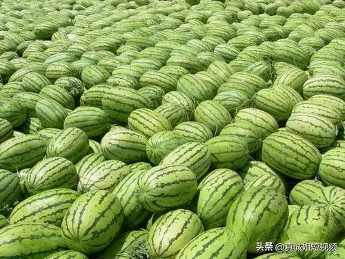 51热门大瓜今日大瓜焕儿,51热门大瓜揭秘幕后真相
