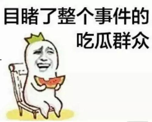 黑漫君吃瓜群众是谁,网络红人的崛起之路
