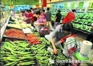 超市小吊瓜今日价格多少,实惠之选，品质生活新体验