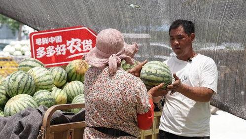 今日农村卖瓜视频大全,农村卖瓜视频大全，尽享瓜香四溢的乡村风情
