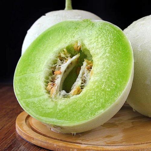 2月份玉菇蜜瓜今日价格,2月甜蜜新行情！