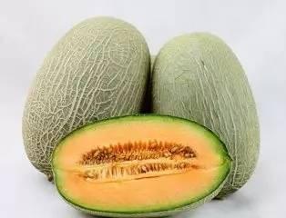哈密瓜黄瓜今日价格行情,今日行情一览”