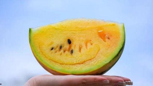 吃瓜今日吃瓜,揭秘娱乐圈最新热点事件