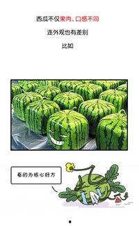 吃瓜网今日吃,揭秘娱乐圈最新热点事件