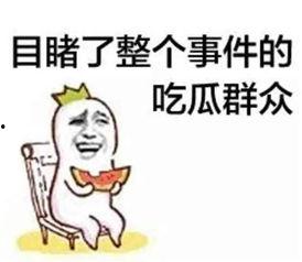 吃瓜群众黑料泄密云播放,云播放背后的真相曝光