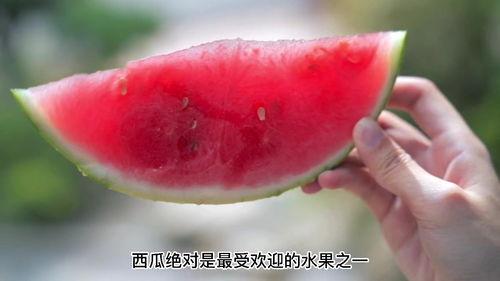 血糖高可以吃黑米瓜吗,黑米瓜的适宜性探讨