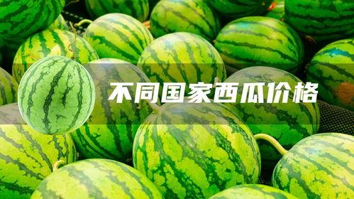 新疆瓜价今日行情,今日瓜价行情火爆