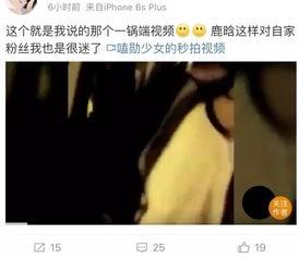 吃瓜爆料就看黑料社视频,吃瓜爆料，黑料社视频深度解析