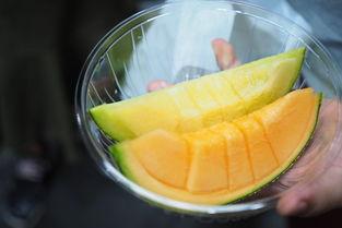 江南哈密瓜价格今日价,抢购热潮席卷市场