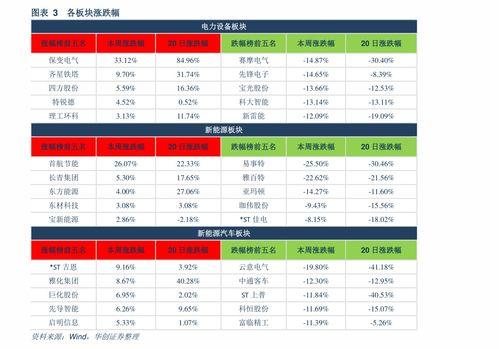 小白瓜今日行情价格表,价格波动解析与市场趋势洞察