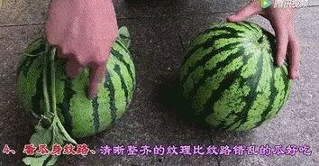 黑米瓜怎样吃最好吃,解锁最佳口感之道