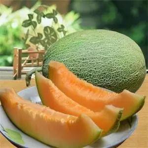 徐州哈密瓜今日价格,价格行情一览”