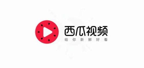 今日头条内部的瓜,揭秘最新瓜料背后的真相