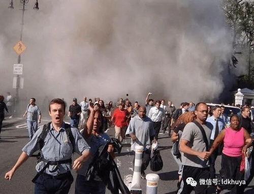 911今日吃瓜事件,真相与争议交织