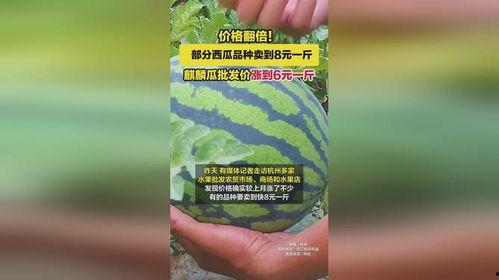 广州今日麒麟瓜批发价格,品质佳价优，市场走俏”