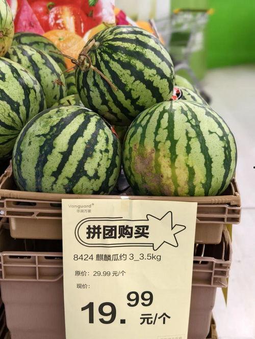 广州今日麒麟瓜批发价格,品质佳价优，市场走俏”