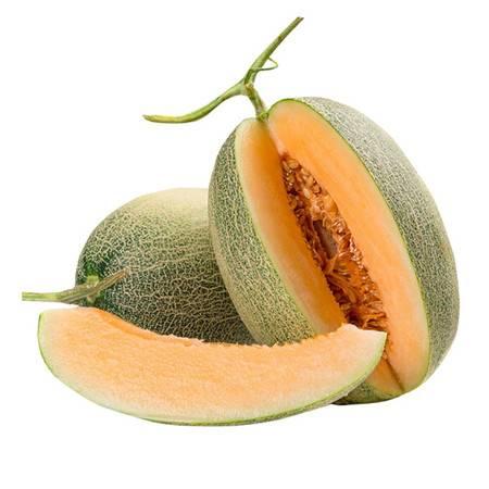 买了一个黑蜜瓜怎么吃才好吃,黑蜜瓜美味食法大揭秘