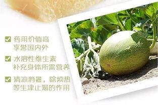 吃黑蜜瓜好吗,黑蜜瓜的营养价值与食用益处解析