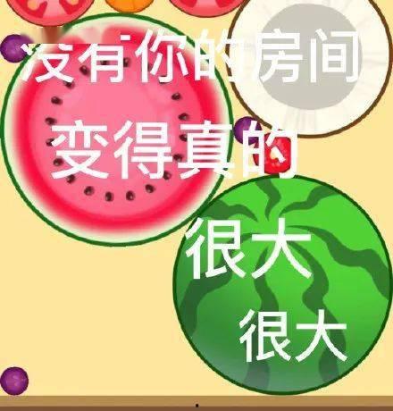 今日网络大瓜,今日大瓜盘点，揭秘娱乐圈最新动态