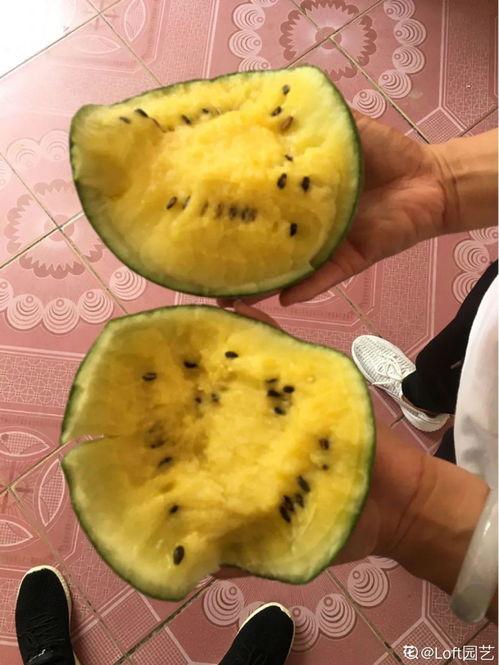 怎么吃黑蜜瓜好吃,尽享夏日甜蜜滋味