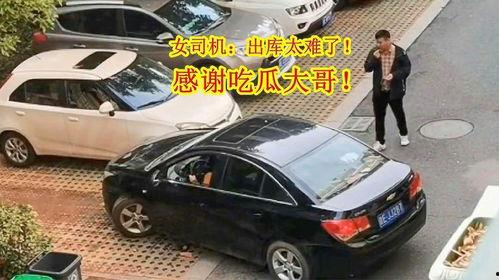 今日吃瓜女司机,吃瓜女司机引发热议，揭秘网络舆论背后的真相