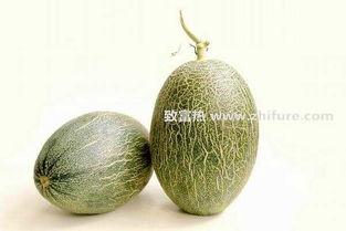 今日北海哈密瓜价格行情,今日市场新鲜出炉