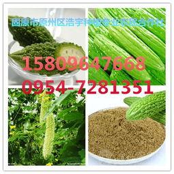 水瓜今日行情,今日市场动态一览