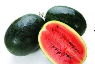 黑科技1204吃瓜,一场颠覆性的吃瓜盛宴