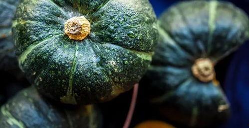 黑科技1204吃瓜,一场颠覆性的吃瓜盛宴