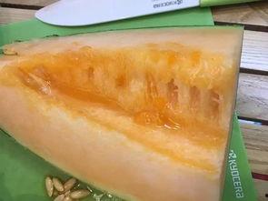 今日吃瓜51吃瓜柳州,今日吃瓜51带你领略柳州特色小吃