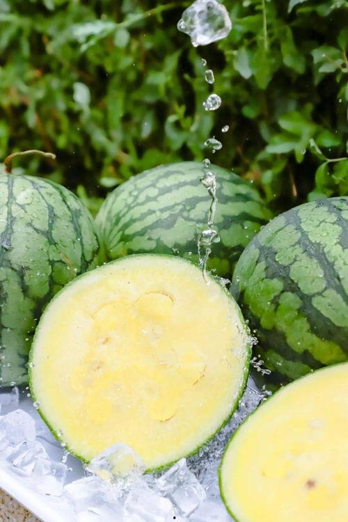 黑料吃瓜网155fun,黑料吃瓜网背后的娱乐风云