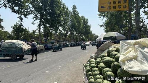 小吊瓜今日价格一览表,市场行情实时解析