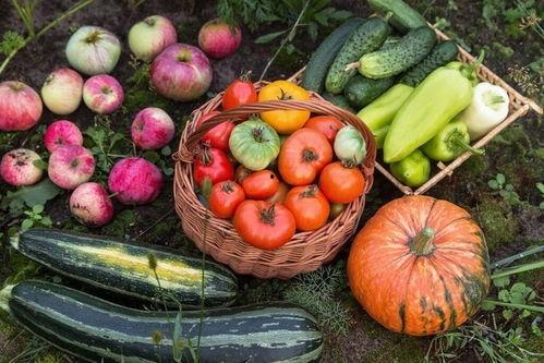 5今日吃瓜入口,热点事件深度解析