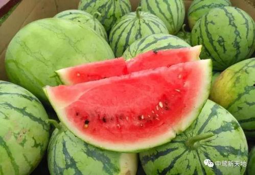 今日吃瓜精简版,热点事件一网打尽