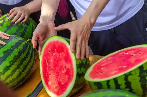 ccggmod今日吃瓜,揭秘娱乐圈最新热点事件