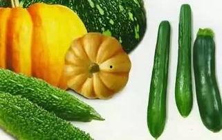 在线吃瓜免费吃瓜 今日吃瓜,免费在线畅享精彩瓜料