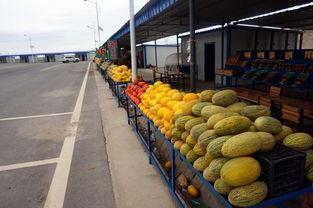 今日瓜州县油价,涨跌波动一览无遗