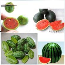 吃瓜今日热门大瓜图片