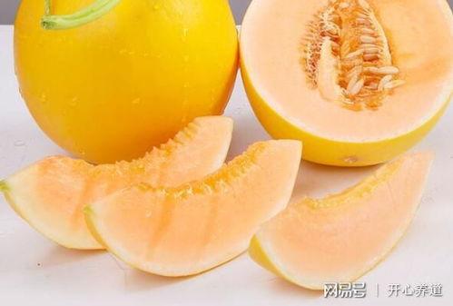 黄河蜜瓜今日价格表最新,新鲜出炉，行情一览