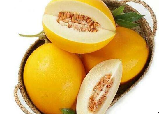 黄河蜜瓜今日价格表最新,新鲜出炉，行情一览