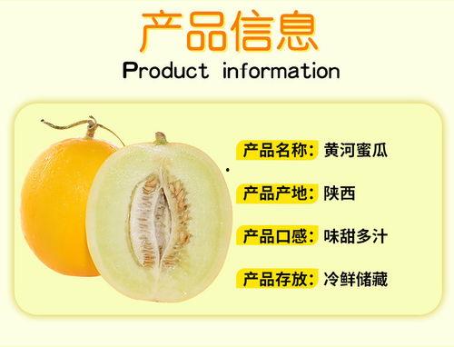 黄河蜜瓜今日价格表最新,新鲜出炉，行情一览