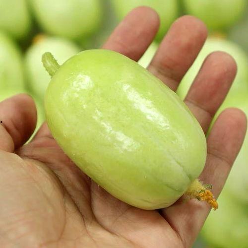 山东黄皮瓜价格今日,市场供需两旺