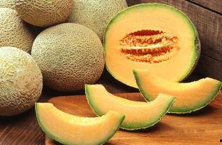 嘉兴哈密瓜今日走量,走量突破新高