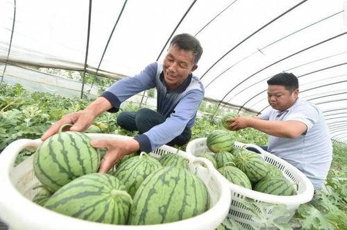 今日吃瓜南京,揭秘南京的那些事儿