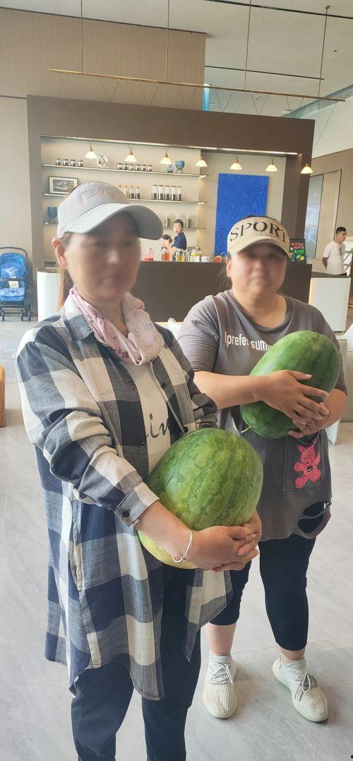 今日有何大瓜,揭秘娱乐圈最新大瓜，精彩纷呈等你来探