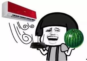 今日有何大瓜,揭秘娱乐圈最新大瓜，精彩纷呈等你来探