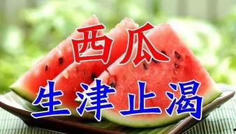 今日宜吃瓜小说3,揭秘小说3中的悬疑世界